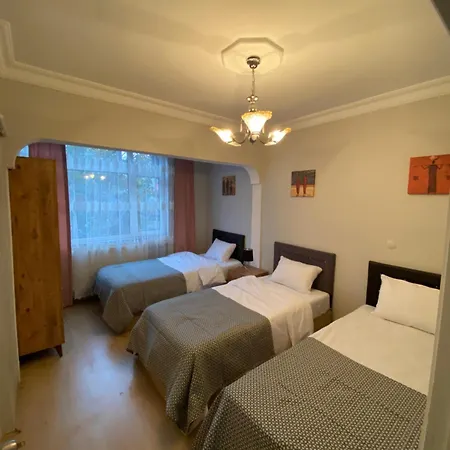 Tramvaya Yakin, Merkezi,2bd,asansoerlue,uecretsiz Otoparkli,3 Klimali 公寓